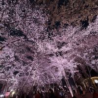 評論圖片 3