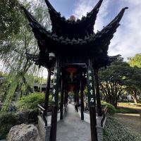 評論圖片 3