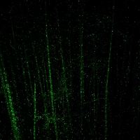 評論圖片 5