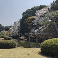 評論圖片 5