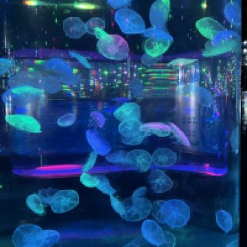 評論圖片 1