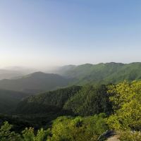 評論圖片 5