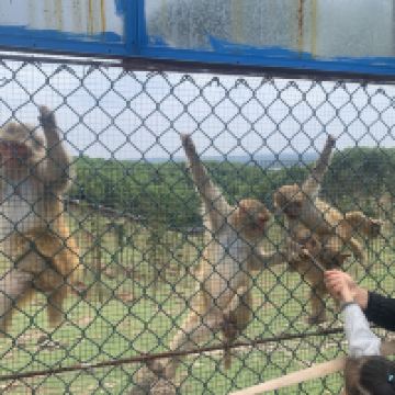 評論圖片 8