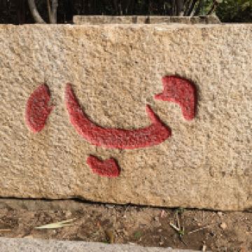 評論圖片 5
