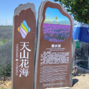 評論圖片 1