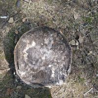 評論圖片 1
