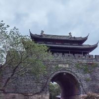 評論圖片 6