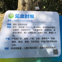 評論圖片 4