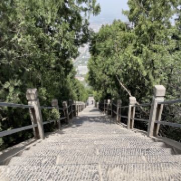 評論圖片 8