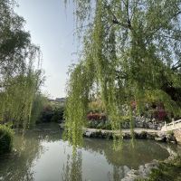 評論圖片 4