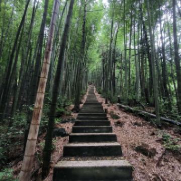 評論圖片 5