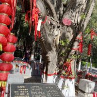 評論圖片 9