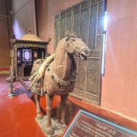 評論圖片 3