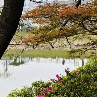 評論圖片 6