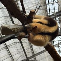 評論圖片 5