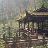 評論圖片 8
