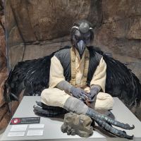 評論圖片 6