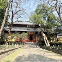 評論圖片 2