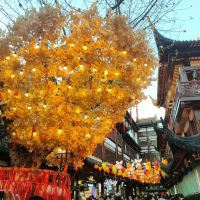 評論圖片 5