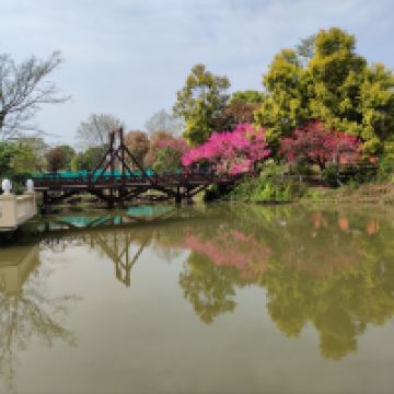 評論圖片 4