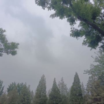 評論圖片 5