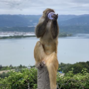 評論圖片 4