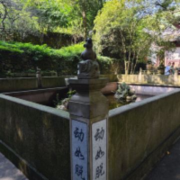 評論圖片 5