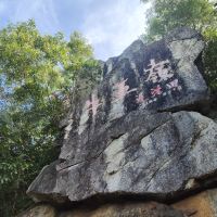 評論圖片 1