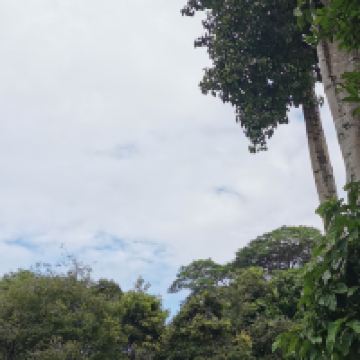 評論圖片 3