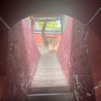 評論圖片 7