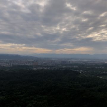 評論圖片 4