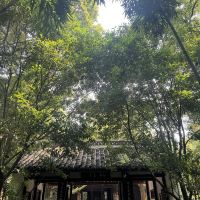 評論圖片 3