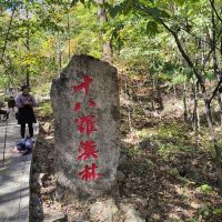 評論圖片 5