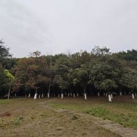 評論圖片 1