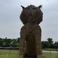 評論圖片 6