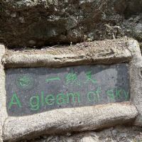 評論圖片 7