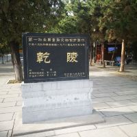 評論圖片 2