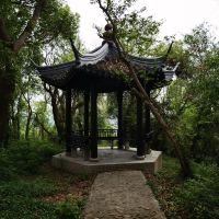 評論圖片 4
