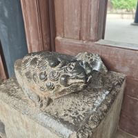 評論圖片 7