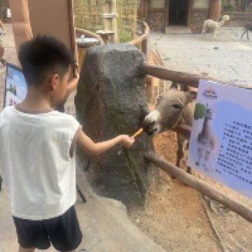 評論圖片 3