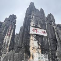 評論圖片 1