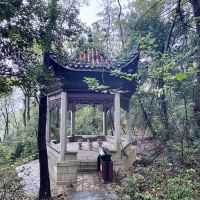 評論圖片 5