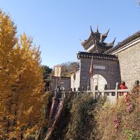 評論圖片 2