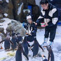 評論圖片 4