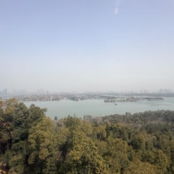 評論圖片 7
