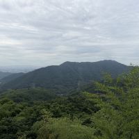 評論圖片 3