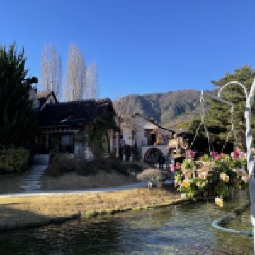評論圖片 9