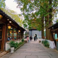 評論圖片 5