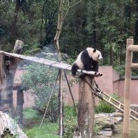 評論圖片 3