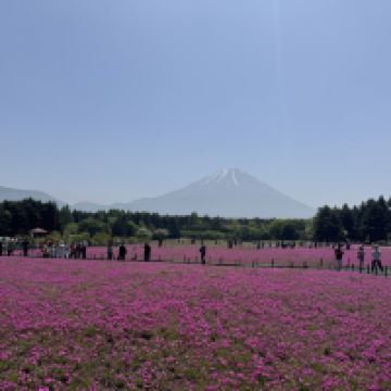 評論圖片 3